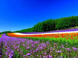 StolzYani's tweet photo. hola http://t.co/tcxhF7Qu98