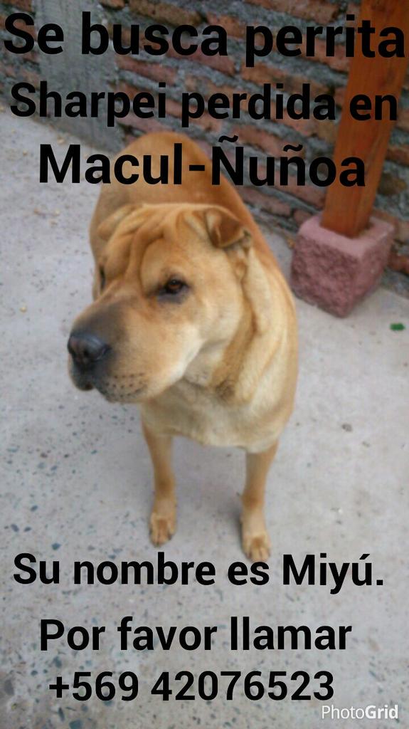 cavasdevino's tweet photo. RT PORFA @rikardonoso @JeniferIbanez @Rosyriveros @cuchara00 @maryfer_r22 @andressilvaa @SReyesP @pvillafa @fabycrack http://t.co/ezaLq36dRg