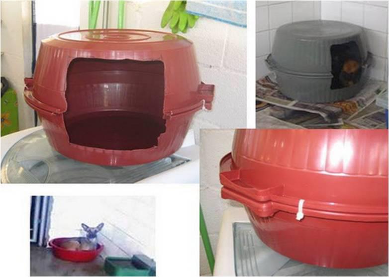 GuaTeSostenible's tweet photo. Casa para mascota  | Nada de tirar baldes rotos >> http://t.co/LuKzSHqzxs http://t.co/0qqlRr3Hbs