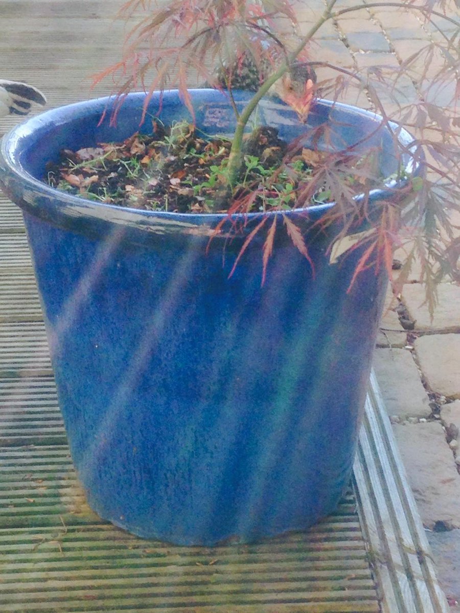 Stifyn1's tweet photo. Sitting in the sun with a glass of RosΓ© while the girls do the weeding #gotitsorted #perffaith @DavidASteer http://t.co/OZLsKFoPGp