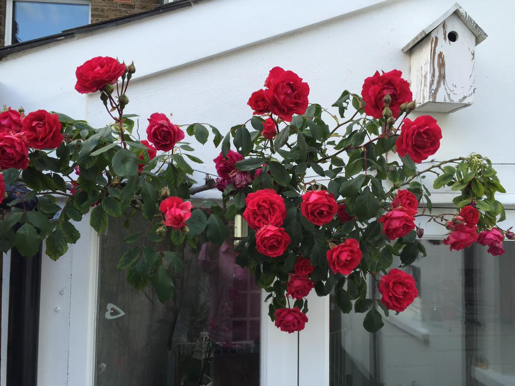 FintonHouse's tweet photo. http://t.co/1ogsrEDbsg