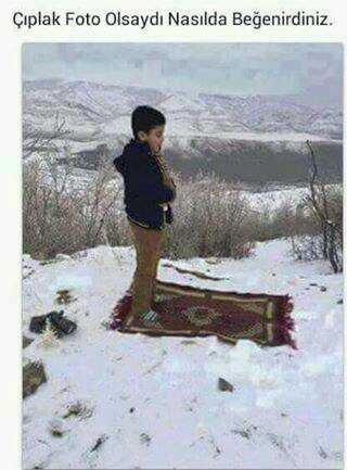 Fotoğrafıma beğeni gelmediğinde ben ;