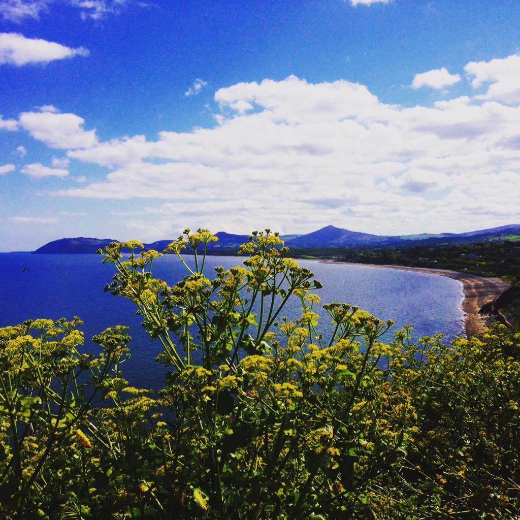 LAlozirwin's tweet photo. Beautiful day on the hill....#killiney #sunshine http://t.co/Yr1Q2wOi6C