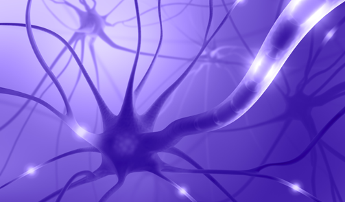 SelectScience's tweet image. The top 6 news in #neuroscience bit.ly/1FdrzYS #neurons #brain #stemcells