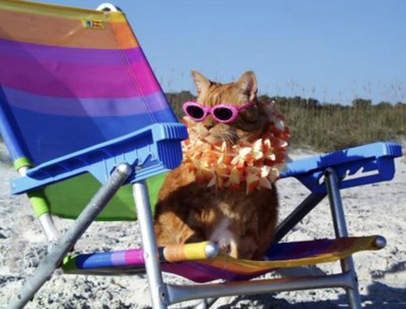 Cosmopolitan's tweet photo. mood. http://t.co/SmFDNcWd10