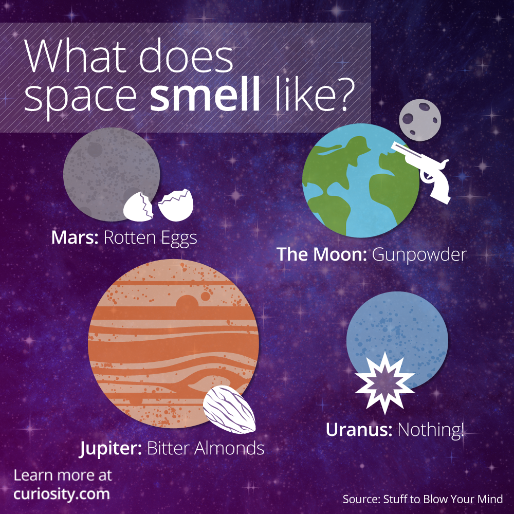 Does #space have a scent? Learn what it might smell like via <a href="/curiositydotcom/">Curiosity</a>: ow.ly/NrCtB