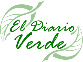 HungerInLondon's tweet photo. Healthy Living on a Shoestring Budget: A Guest Article by Jenn JM from @eldiario_verde http://t.co/KYXKRsgrSQ http://t.co/taeJWTweMf