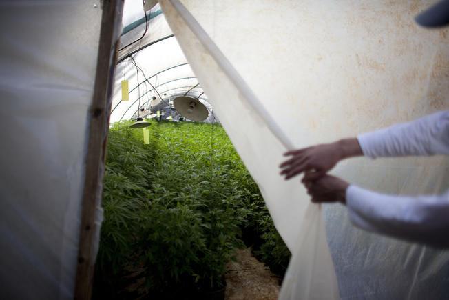 WitchFeed's tweet photo. Terpy Tuesday - http://t.co/2phcWyZQrl
Rauner Should Sign Sensible Marijuana Bills
#cannabis #mmj #marijuana #thc http://t.co/9sxR9Jcjqb