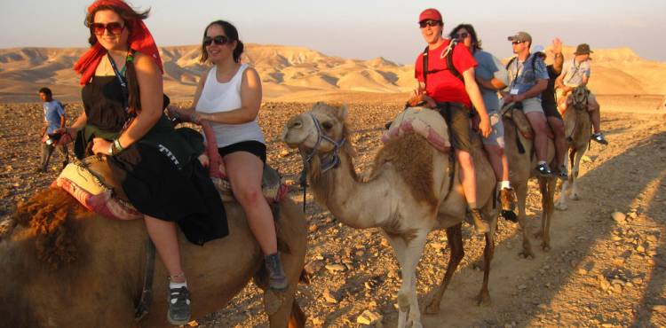 eightyapp's tweet image. Take a Wild Ride on these Animal Excursions #oudtshoorn @cuscocity @natlparkservice ow.ly/NoPmb