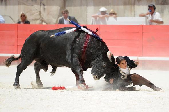 DrBrianMay's tweet photo. A despicable human being - along with all who cheered her, as she cut the bull's ears off. #BanBullfighting http://t.co/O5optHfwK9  Bri