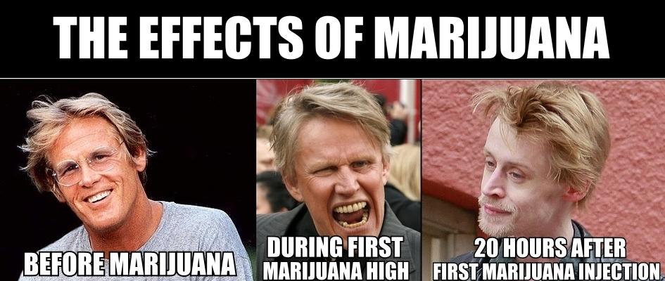 ShitLifeTips's tweet image. The effects of Marijuana. RT to spread awareness