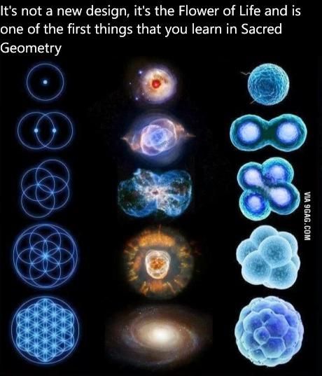 ¿¡ J ?! SAW GD tweet media