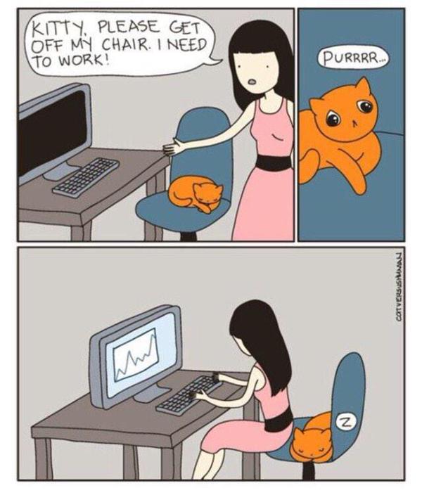 FullCatHouse's tweet photo. Me and cats. http://t.co/JezPMJA365