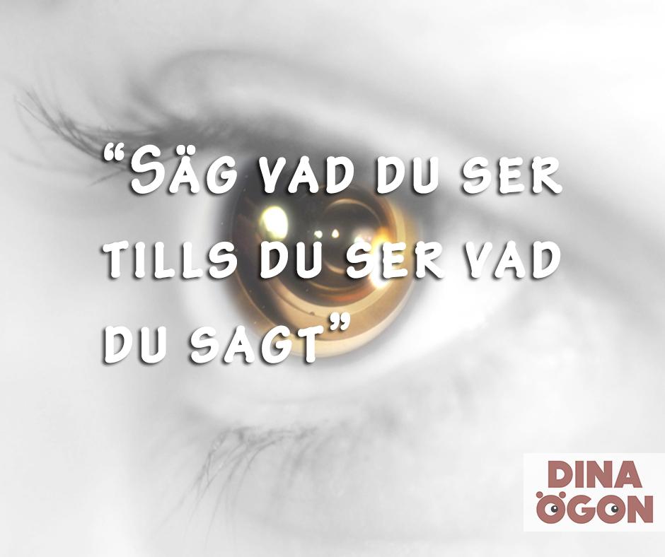 Dina Ögon (@dinaogon) on Twitter photo 