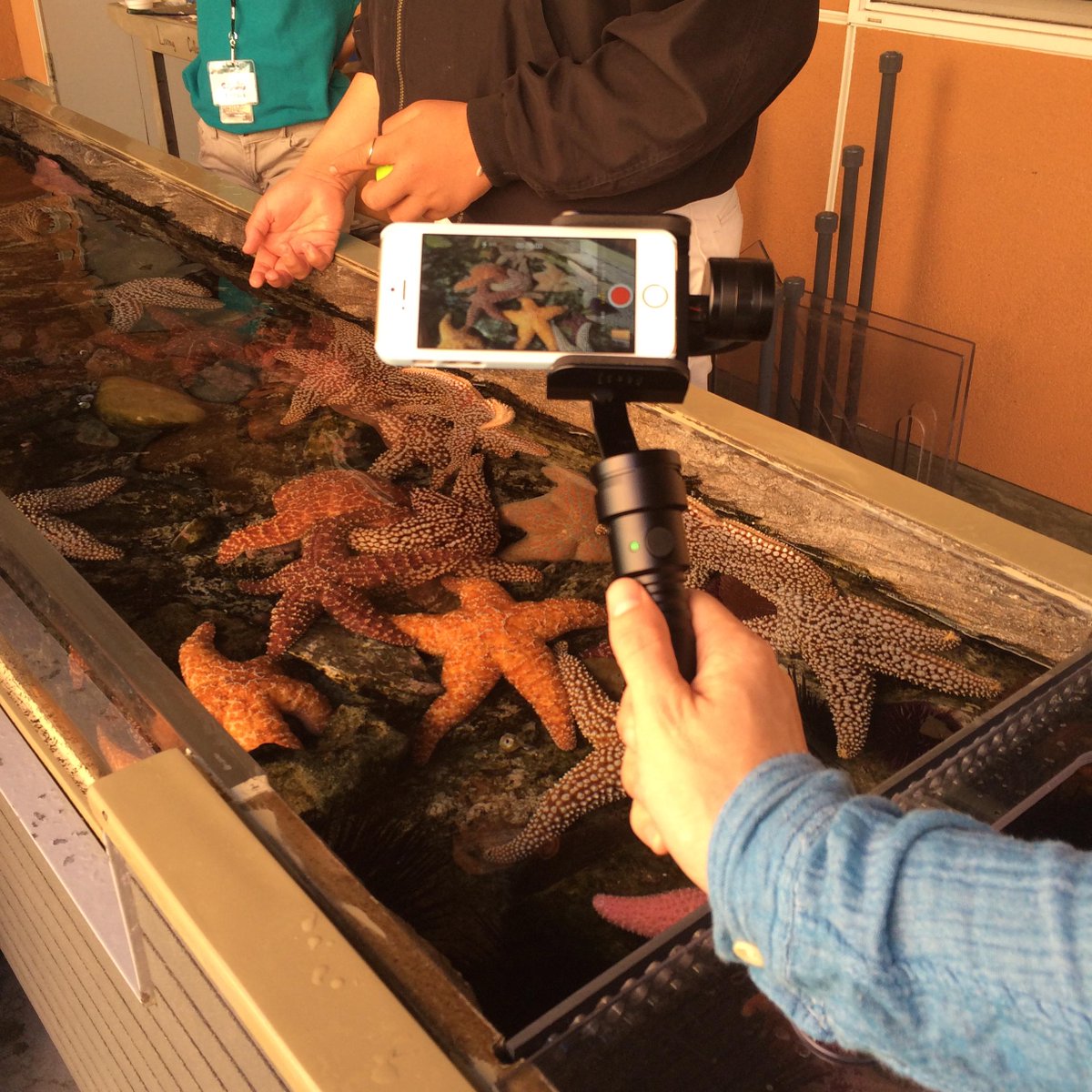 owldollyfun's tweet image. #Beholder #3Axis #SmartphoneStabilizer $259.95 #video #tips #tricks #Bluetooth #iPhone #iPhone6Plus  #Note4.