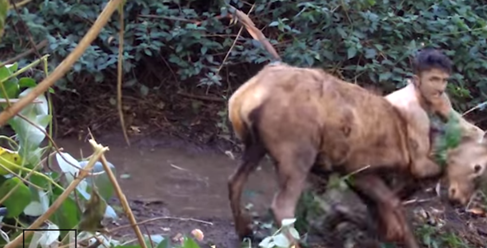 Realtree's tweet photo. Man Captures Deer With Bare Hands http://t.co/B9qgjETaN3 Is it fact...or fiction? You be the judge! http://t.co/ykJYfUt1Hv