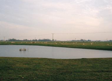 OkayRegards's tweet photo. An example of a beautiful landscape image that will be on display at @FreeRangeShows by @DaisyKMitchell http://t.co/mK5jnN8YAi