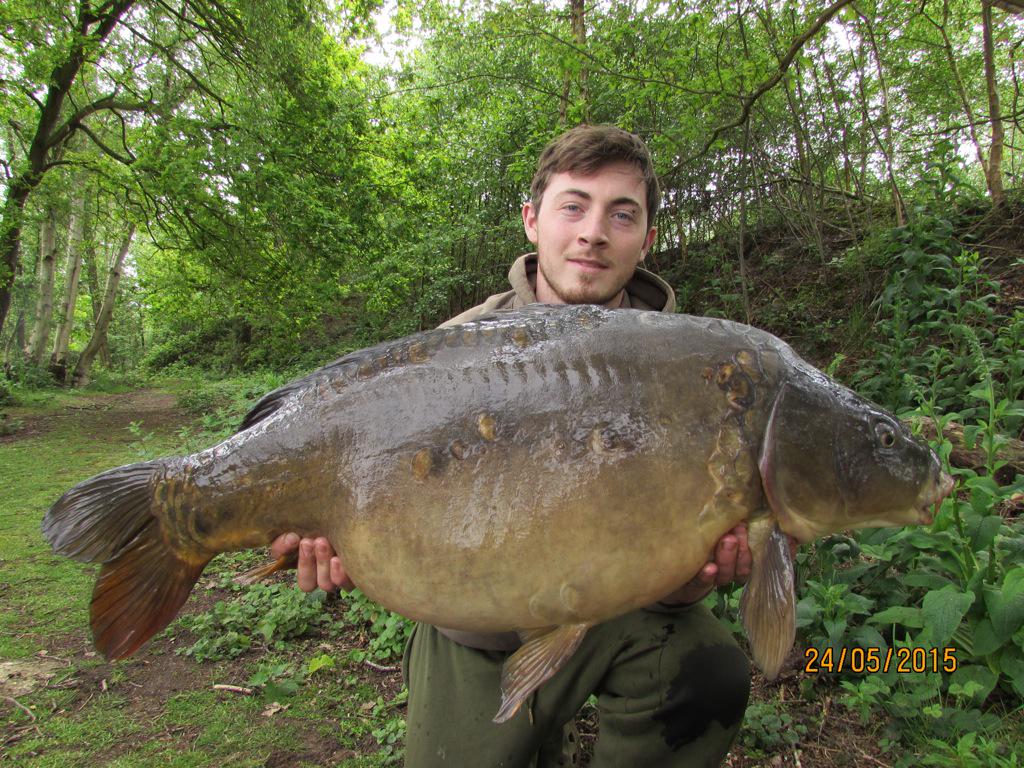 Luke Elliott tweet media