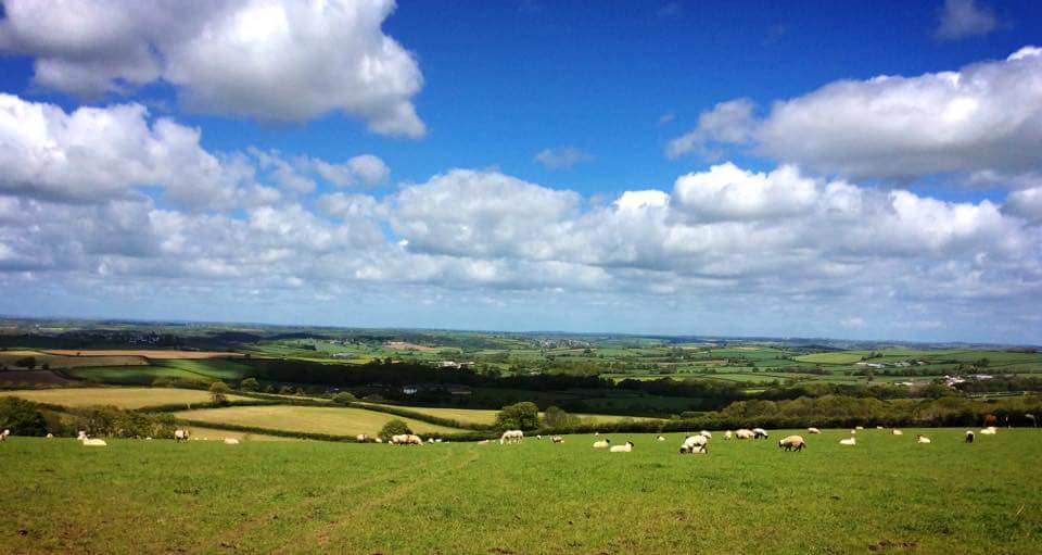 NewtonStud's tweet photo. Look at the view! Enjoy that + more, like foals, cake, mares, steak (not mare steaks, obvs) at our 29 August open day http://t.co/Q7GqeHLHdf