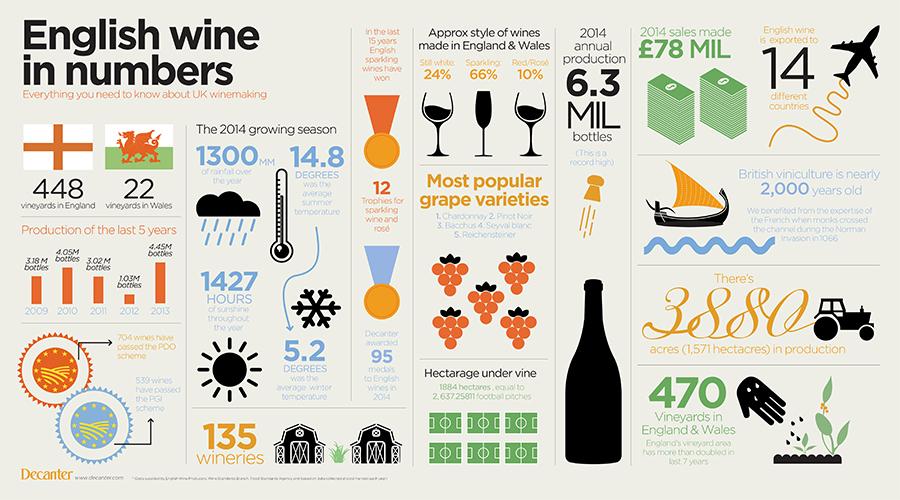 Вино перевод на английский. Инфографика вино. English Wine. Декантер инфографика. Вино на английском.