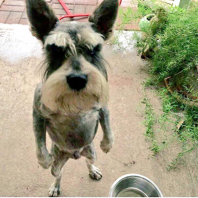 Dj_Maddog's tweet image. Motherfuckers stand up !!