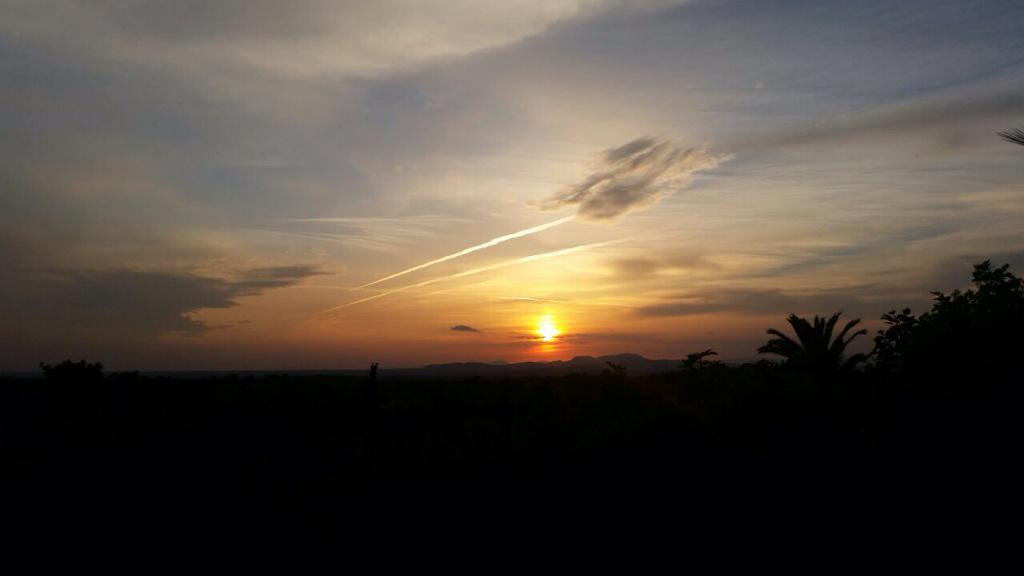 Escogiendo los Vinos favoritos de las Mujeres <a href="/AmaviConcurso/">Amavi</a> #concursoamavi