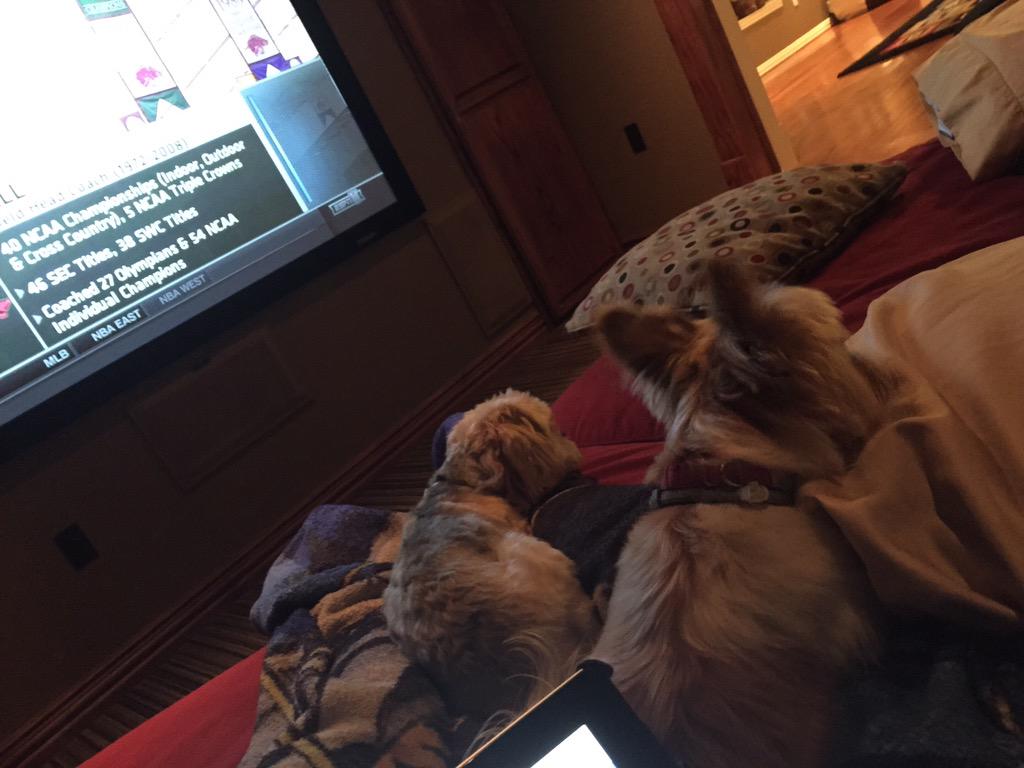 b_campanello45's tweet photo. Spending the day packing and relaxing with these 2 before Vegas #wsopprep http://t.co/eZz9fZaWQQ
