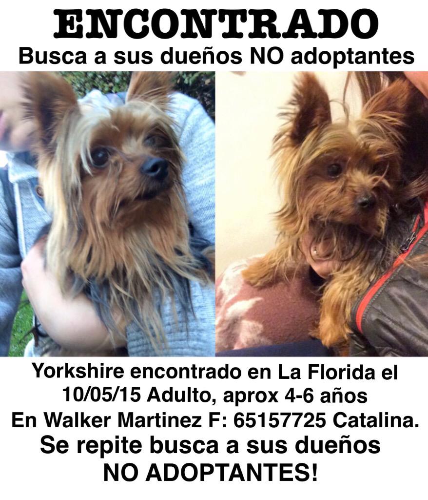 Carli 👑👩🏼‍⚕️🌳 tweet media