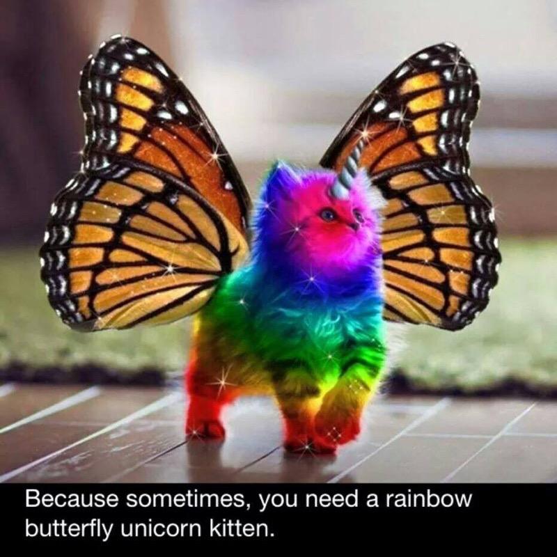 SLWink17's tweet photo. Could definitely use one. :-) http://t.co/18EvHfFANF