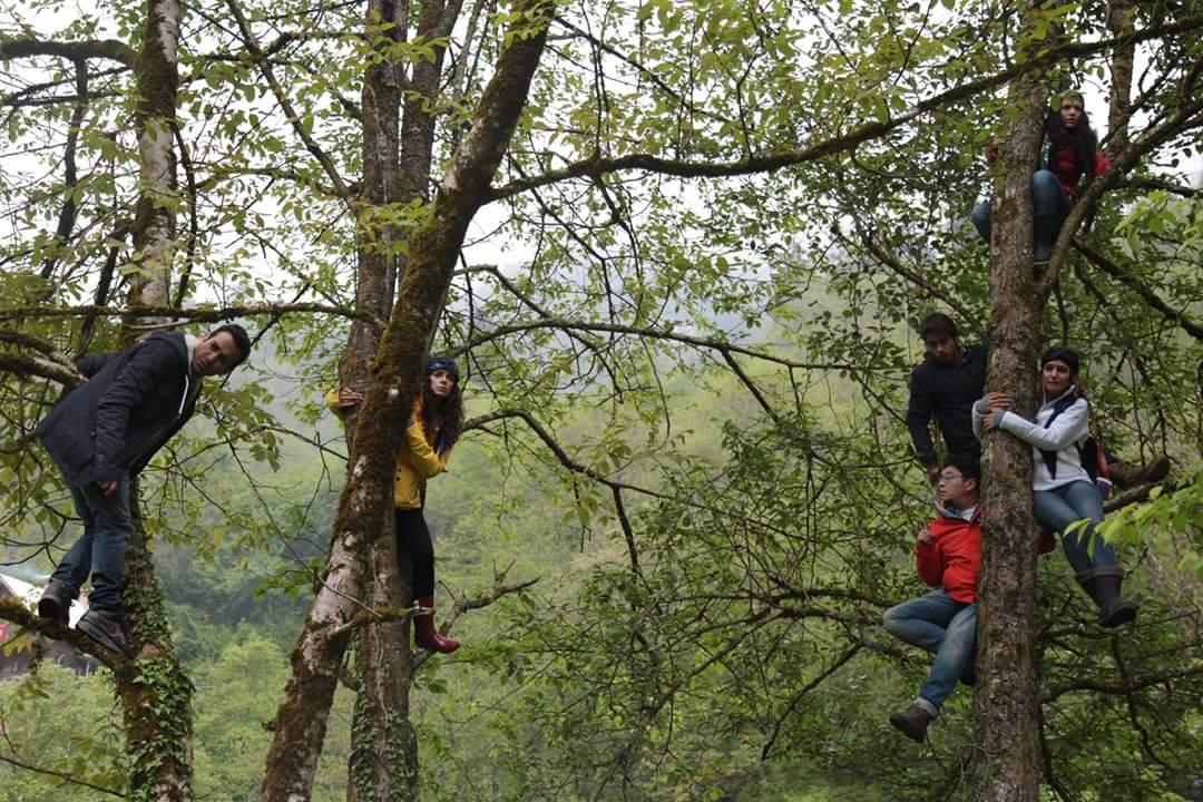 askyeniden8's tweet photo. Ayıdan kurtulma taktikleri #AskYeniden. #sectiginyol http://t.co/cfbugkvsRe