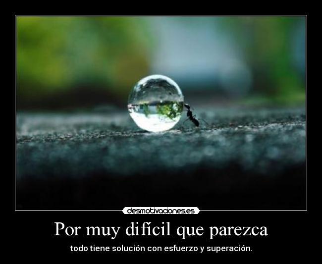 MariAngeles392's tweet photo. http://t.co/a710VAD3Fl