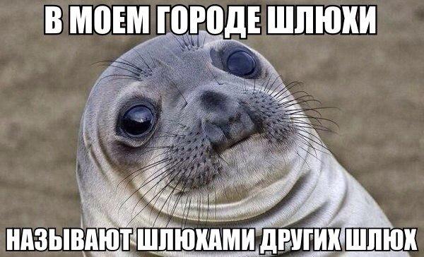 @sun247777