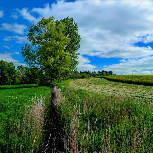 fmpreuss's tweet image. Draußen .....