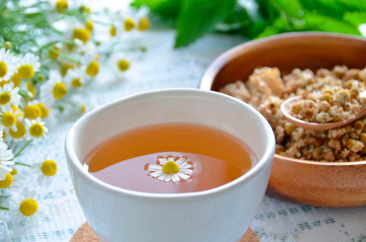 APS_ARS's tweet photo. #TipsAPS Conoce la manzanilla, una de las plantas medicinales que más nos aporta. Ver más: https://t.co/neSzfOkhFR http://t.co/8mwaeOVLGD