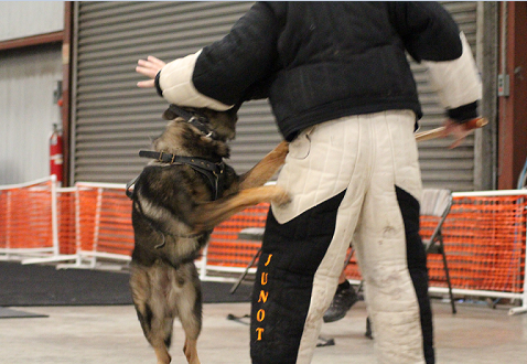 @JulietteMarch "oh cool you can meet my dog!" Or, do you have roomies who can step in?  The address thing<a class="tags" href="/tag/juliettemarch">@juliettemarch</a>