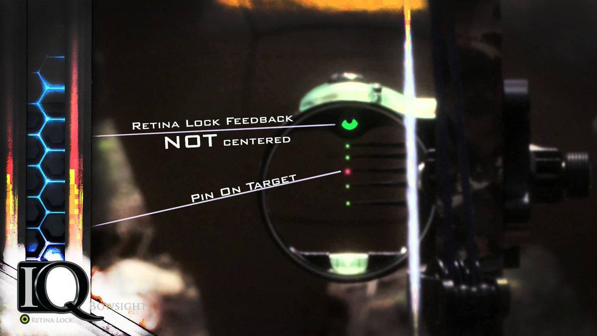 IQ Bowsights tweet media