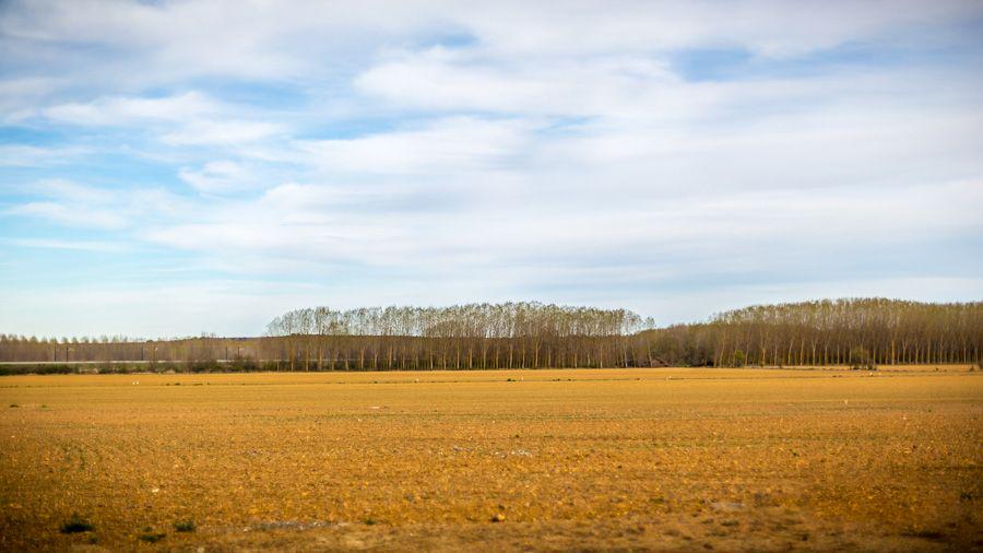 Aquí hicimos nuestra última #preboda. Un sitio de película. Tenemos muchas más ideas. photocallpalencia.com