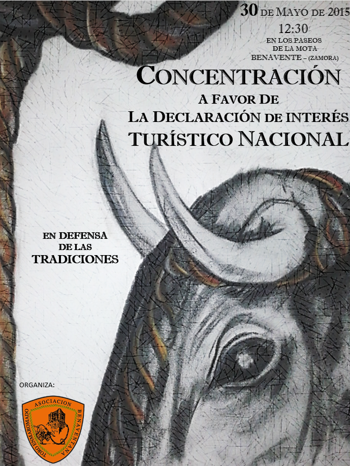 AbteBenavente's tweet photo. NUESTRAS FIESTAS DEBEN SER D INTERES TURÍSTICO NACIONAL,QUEREMOS VER VUESTRA BANDERA EN LA CONCENTRACIÓN @LaaChabola http://t.co/WbDVbUoCQc
