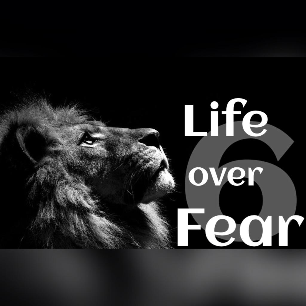 EmpireWolves's tweet image. "Please take me with you?" 
"I'm sorry but I gotta this alone!" 
- The Alpha Family