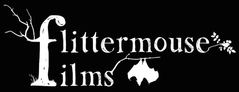 FlittermouseF's tweet image. Hey all! Check out the freshly designed Flittermouse logo and font... Just a concept, so let us know what you think!