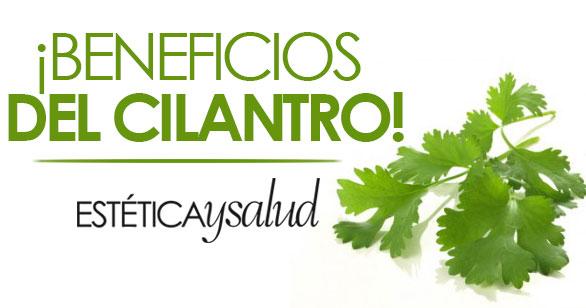 CusiFit's tweet photo. ¿Conoces los beneficios del cilantro?  http://t.co/cydTjajMU5 http://t.co/3dydPMNknY