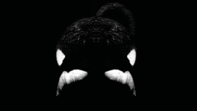 AlexAdvLog's tweet photo. Watching #Blackfish at TV. Please, close #SeaWorld. What they've done to orcas is a mess. #BlackfishTV3 http://t.co/BGAxfJ8vx4