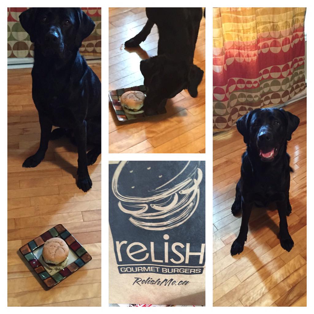 JDoucette03's tweet photo. Happy Birthday Gus!!!!!! #1year #Delish #MommaHadOneToo @WeRelishLife @Holmes4Media http://t.co/Rc1b9PYRYH