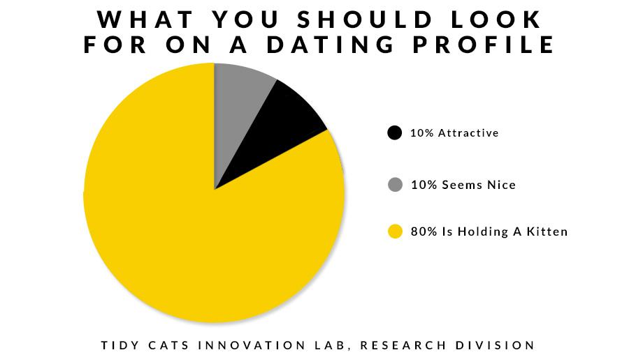 TidyCats's tweet image. Tindpurr would be a more effective dating site. #TidyLab #Science