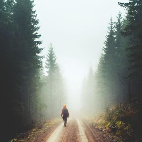 Nature is a perfect balance of our world, and if you're in harmony — it brings you happiness. #ForestCowboys