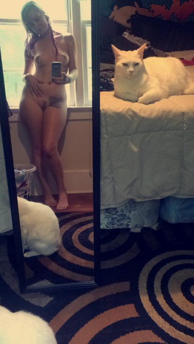 Meeooow http://t.co/z5IGYiyOKF<a href="/tag/mvsales"class="tags"><span>#mvsales</span></a>