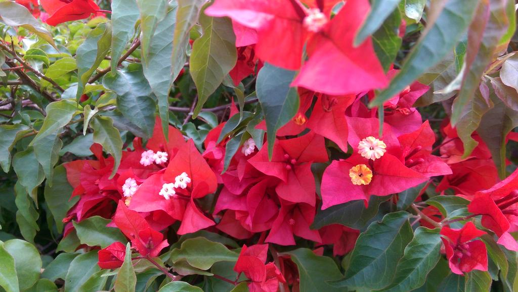 HopelessCacher's tweet photo. See the geocache??  Look closer...I swear it's there....@GoGeocaching http://t.co/kd1iB391B4