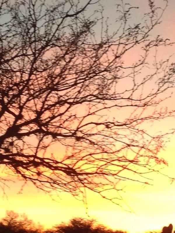 VISITA ZACATECAS ES UNA MARVILLA.LOS MAS BELLOS ATARDECERES