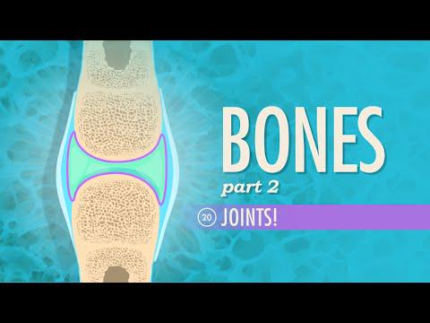 Joints: Crash Course A&amp;P #20 vid.staged.com/zU1p #staged