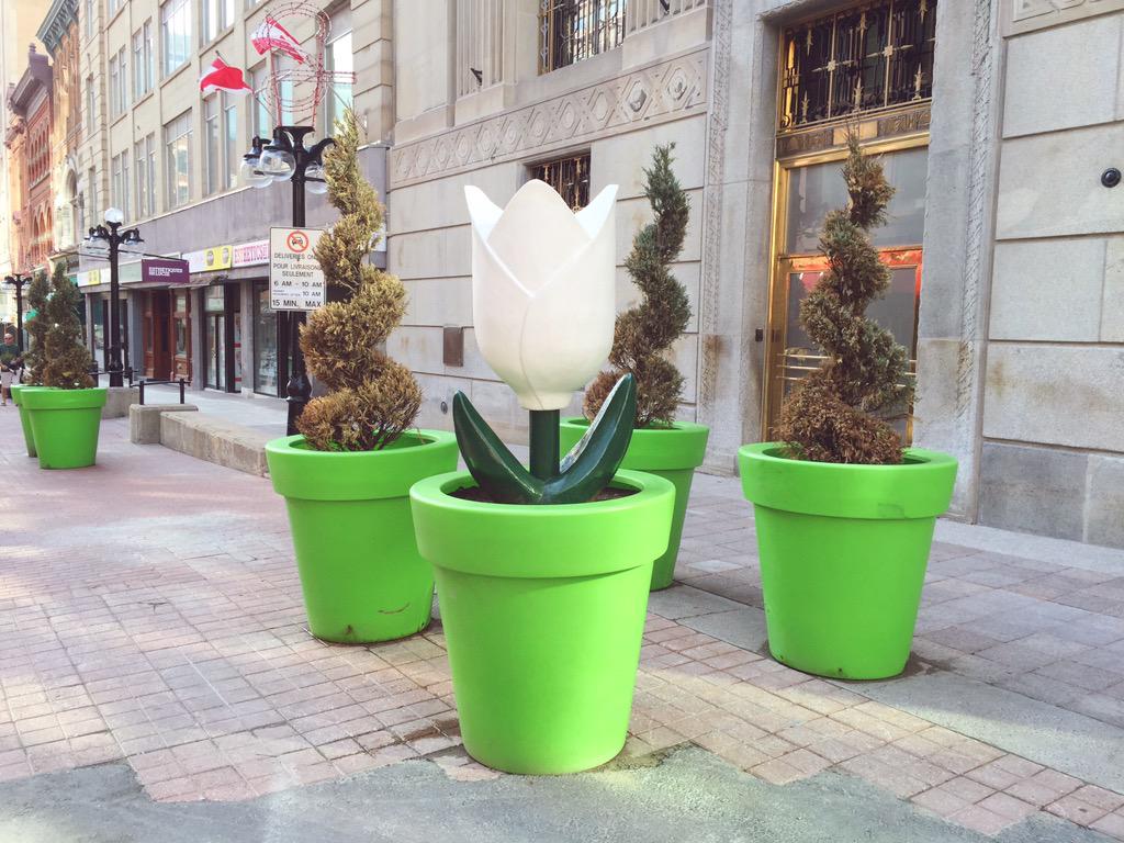 canibagthat's tweet image. Massive relief to be done. 16 days until the results. Good luck to everyone left! #FRCPCAnes